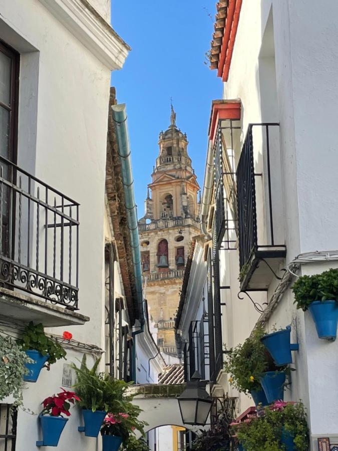 Apartamento Casa Terraza Juderia Córdoba Exterior foto